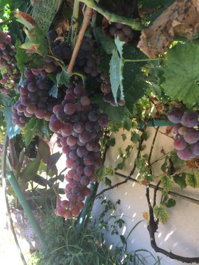 Les Galineaux Villa La Roquille Eksteriør bilde